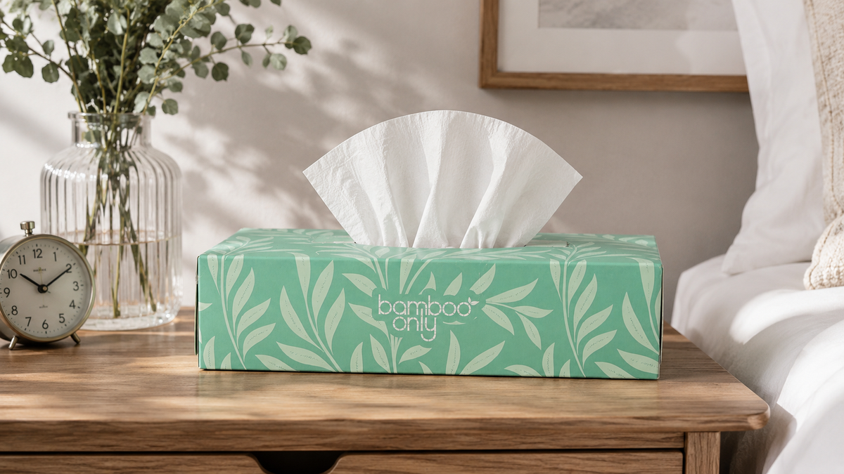 Bamboo Facial Tissues – 12 Boxes